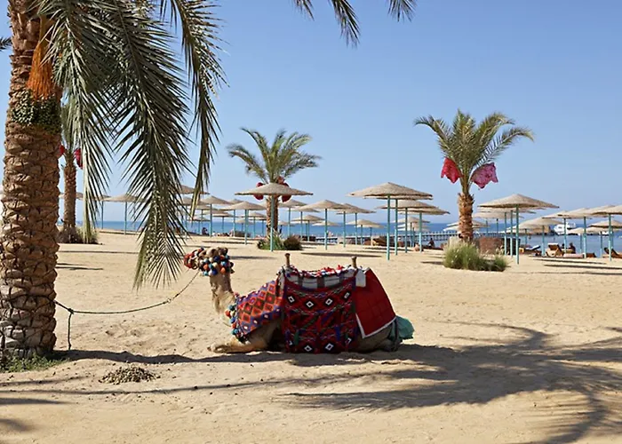 Three Corners Sunny 4* Hurgada